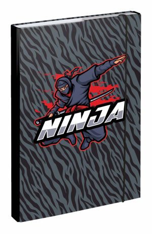 BAAGL Desky na školní sešity A4 Ninja