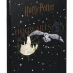 BAAGL Desky na školní sešity A4 Harry Potter Bradavice Erb