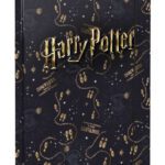 BAAGL Desky na školní sešity A4 Harry Potter Pobertův plánek
