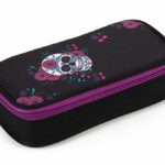 Etue s klopou Skull