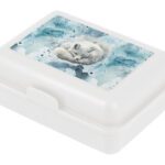 BAAGL Box na svačinu Polar
